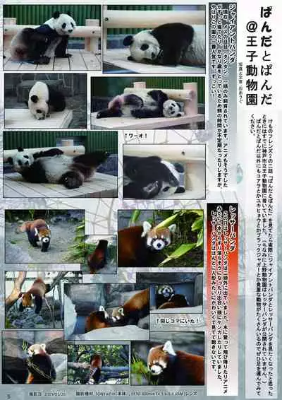 may Kemono Friends Thre Goudoushi 2