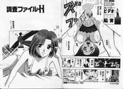 Chousa File H - Investigation File