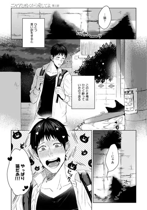 Nyaa to Nakukara Aishiteyo