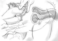 [pink-noise] Love☆Blade Shin Ryuu-hen (Queen's Blade)