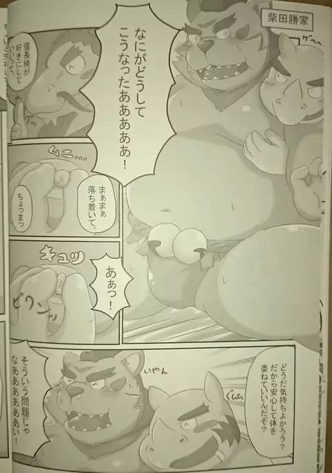 重将 | HeavyWeight Fighters