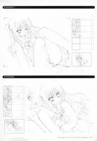 Bra-Ban Visual Fanbook