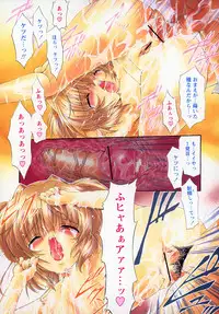 [Noraneko Nagaya] Horoama Omocha Hako