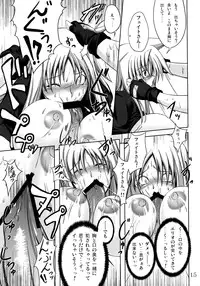 (C73) [SUTE☆POTE (Kagura Soushi)] riri tama hoshuu jugyou! (Mahou Shoujo Lyrical Nanoha)