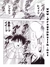 [Shouji Haruzo] Dragon Ball Z - Wakayo