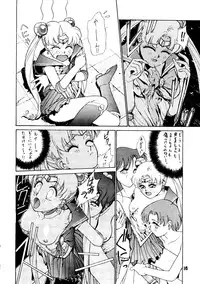 [Himitsu Kessha Tsuki to Yousei] Re-Flesh! (Sailor Moon)