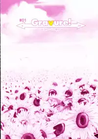 Shuffle! - Visual Fan Book