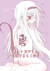 [ハチウルフ] Homu Tokage (Puella Magi Madoka Magica)