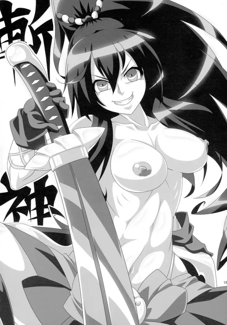 COLLECTIONS Sengoku Collection Goudou hon