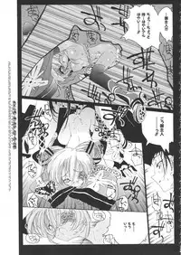 Colorful Bee 1999-07