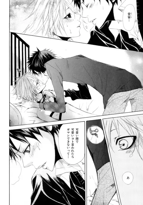 b-BOY Phoenix Vol.10 Odougu Tokushuu