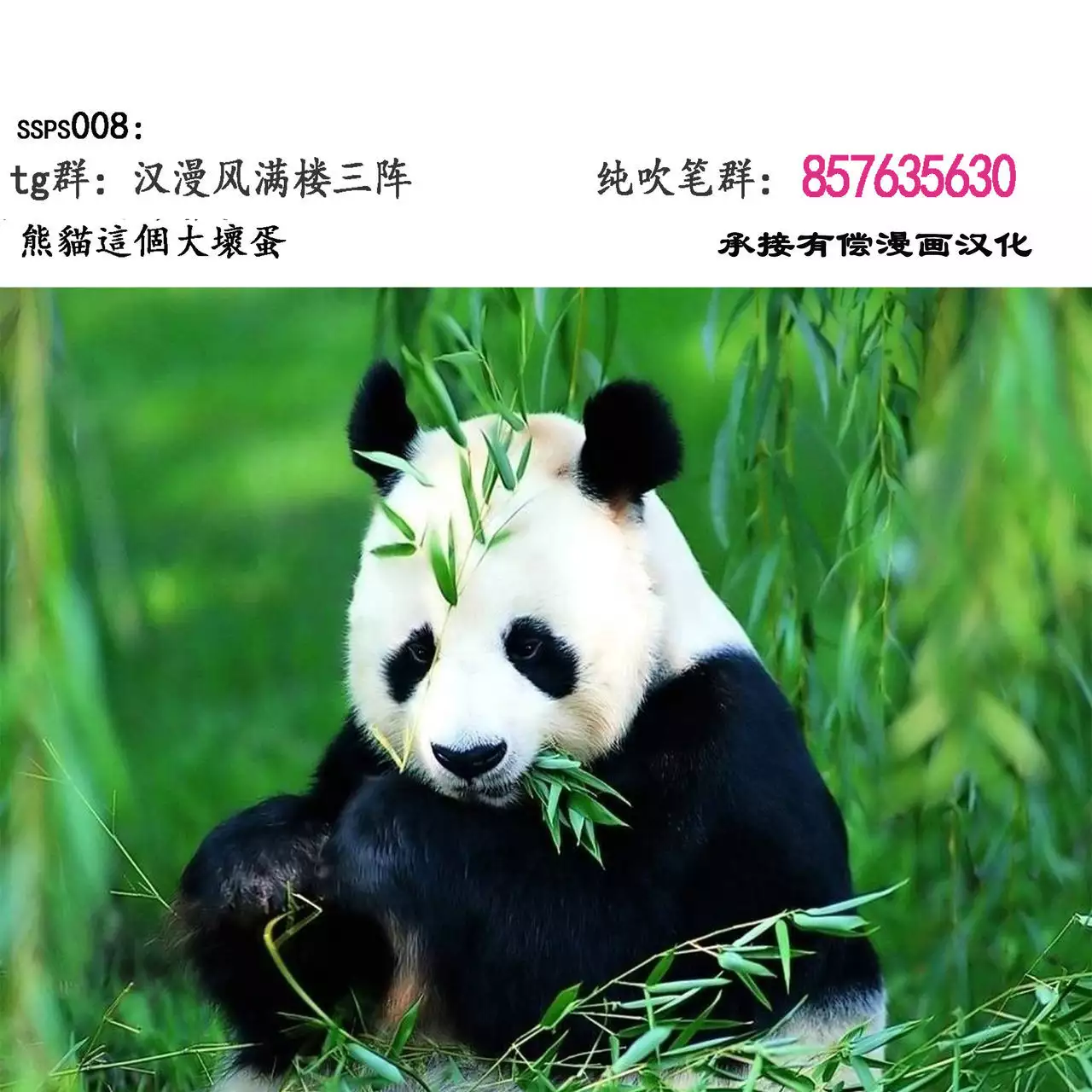 Mother's Care Service