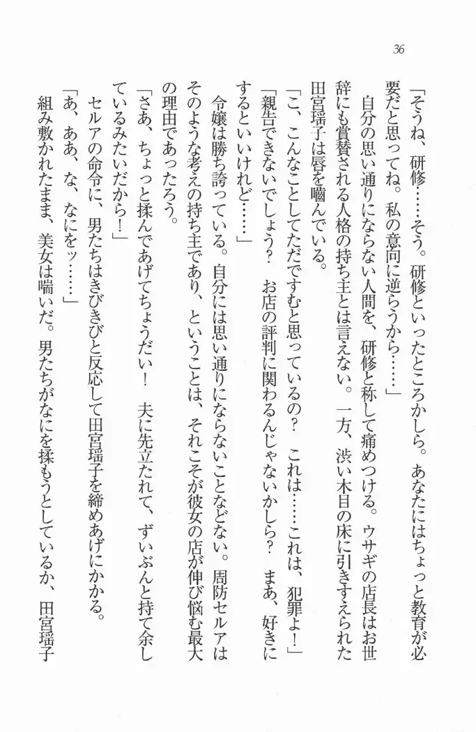 メイド喫茶 猫の隠れ家