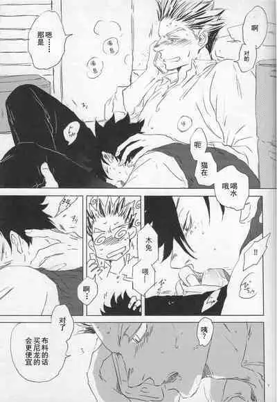 「Hyaena、Sunday」Maybe You Are The Cat In The Paper Bag | 你大概是纸袋里的猫