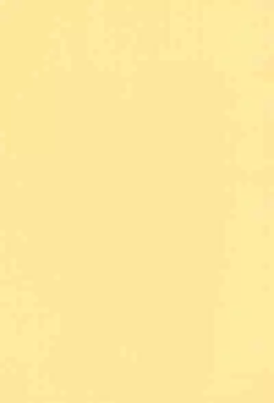 quarterly LIBIDO VOL.2