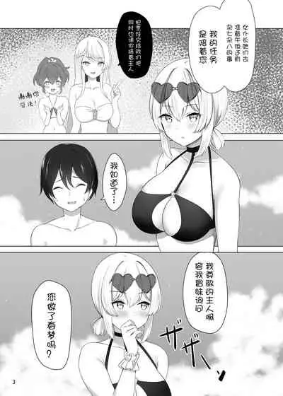Hokorashiki Goshujin-sama e no Maid Houshi