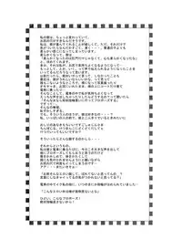 (C81) [Mirin (Umino Yayoi)] Toy Heaven 3