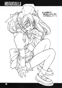 (C55) [PEACE MAKER (E=MC2)] JUNKY'S JUNKS 3