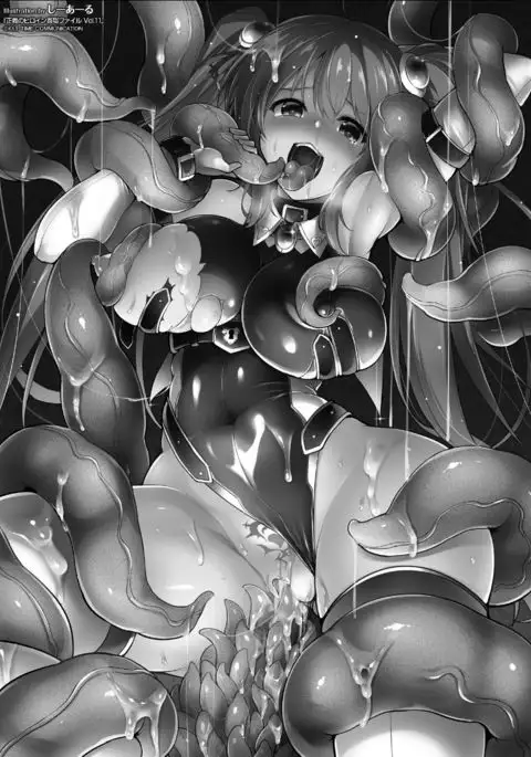 Seigi no Heroine Kangoku File Vol. 11