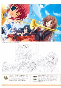 Bra-Ban Visual Fanbook