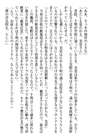 年上メイドの新婚日記