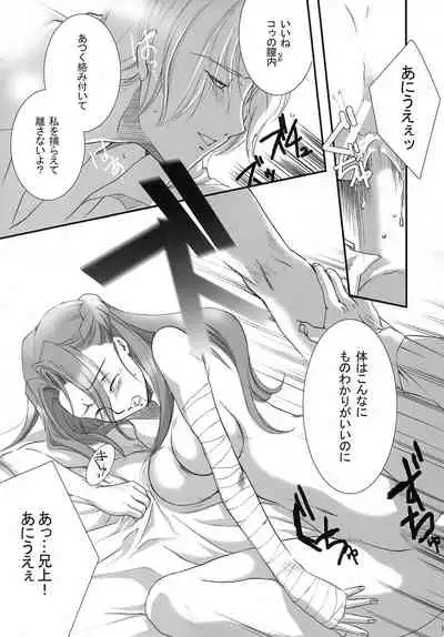 (C74) [Kagetora (kacka)] bird sanctuary (Code Geass: Lelouch of the Rebellion)