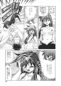 Colorful Bee 1999-07