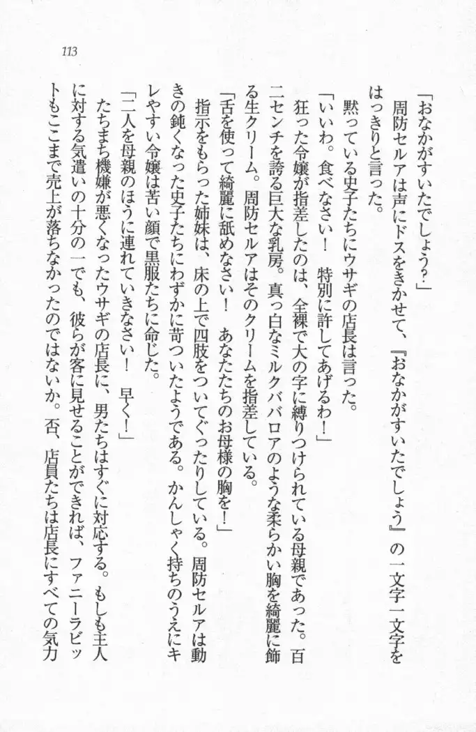 メイド喫茶 猫の隠れ家