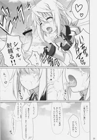 (COMIC1☆5) [47sp, SSB (Takashina@Masato, Maririn)] ichica to (IS <Infinite Stratos>)