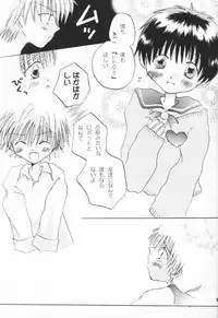 [Gyaroppu Daina ・ Lovers (Akechi Rikuwo + Narita Rumi)] Shounen Gyakutai Ron (Neon Genesis Evangelion)