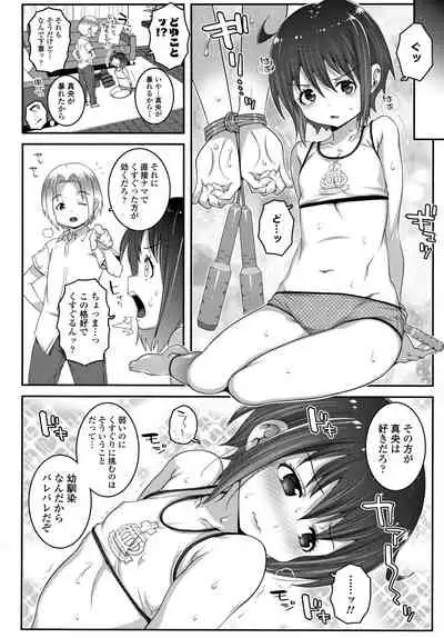 Soutaisei Virgin Theory