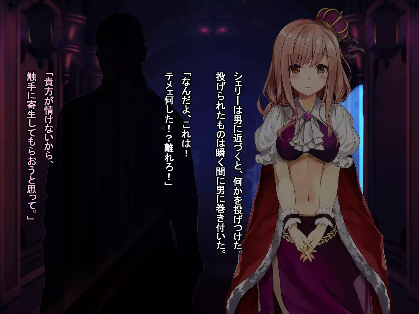 The Price of Vengeance ~Despair of a Maid and Little Sister Princess~