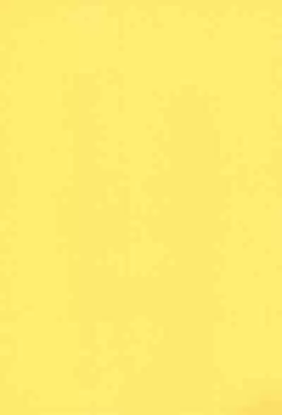 Funsen! Gunvarion Version up.001