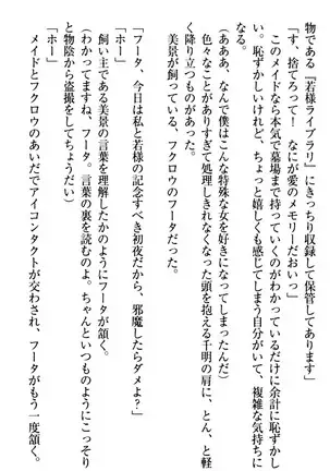 年上メイドの新婚日記