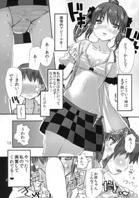 (Reitaisai 12) [Hi-sys. (CL)] Wanchan Hatate Chance (Touhou Project)