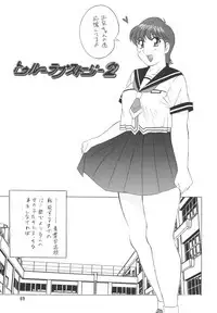 (CR33) [Rippadou (H-H)] H-H Soushuuhen 2 (Various)