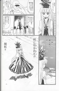 (C67) [Kurogane Dou (Narumi Yuki)] Tsuki to Hourai Ningyou (Touhou Project)