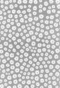 (C55) [Piyokoya (Kobayashi Hiyoko)] Cherry Girls Preparation (CardCaptor Sakura)