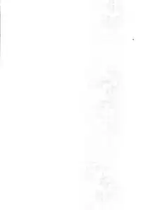 (C92) [matine (iyutani)] Melt (Magic Knight Rayearth) [Chinese] [沒有漢化]