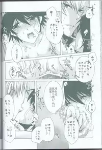 (C75) [Sorairoenogu (Kanei Yoh)] Victim Sanctuary (Yu-Gi-Oh 5D's)