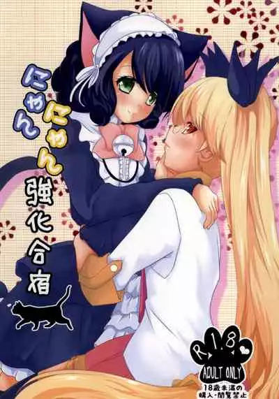 Nyan Nyan Kyoukagasshuku