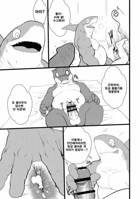 Veteran Lifesaver 1.5