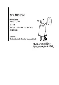 (C93) [Blue Garnet (Serizawa Katsumi)] Toraware Seijou (Fate/Grand Order)