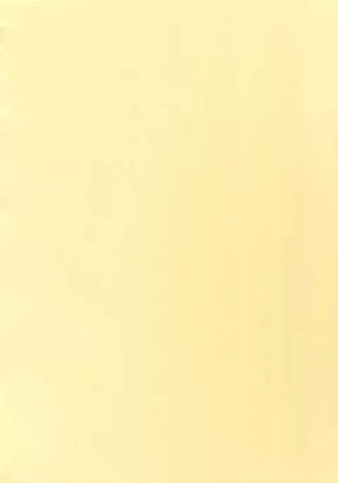 Mairasu Complex o Kawari