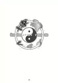 (C78) [Toriaezu (Kari) (Tororo)] Hakurei Rape (Touhou Project)