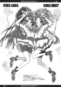 (C79) [life & Digital Flyer (Haga Yui & Ohta Yuuichi)] DIGITAL LIFE 2010 WINTER ff (Precure Series)