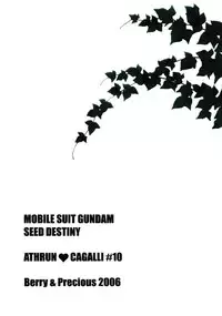 [Berry & Precious] Beautiful Beast (Gundam SEED DESTINY)