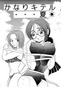 [Bijogi Junction (Bijogi Junction)] Hime Sakunyuu