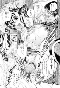 [Shimao Kazu] Flower