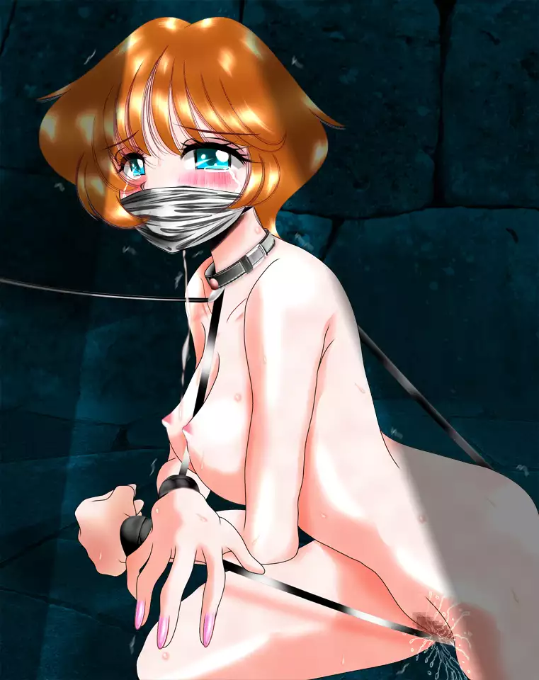 Hakurai Shoujo Series